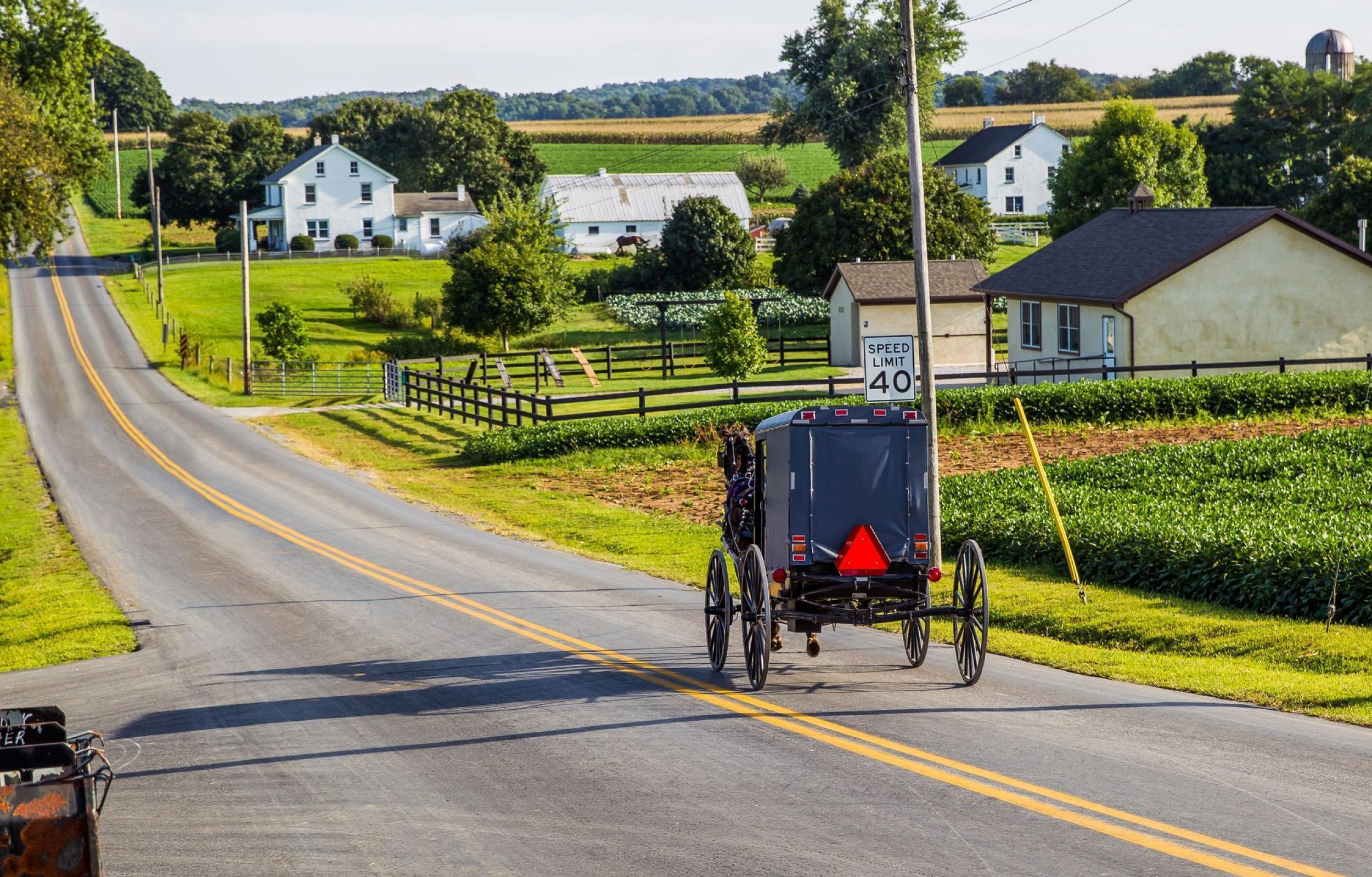 Splendore dell'Est e Niagara