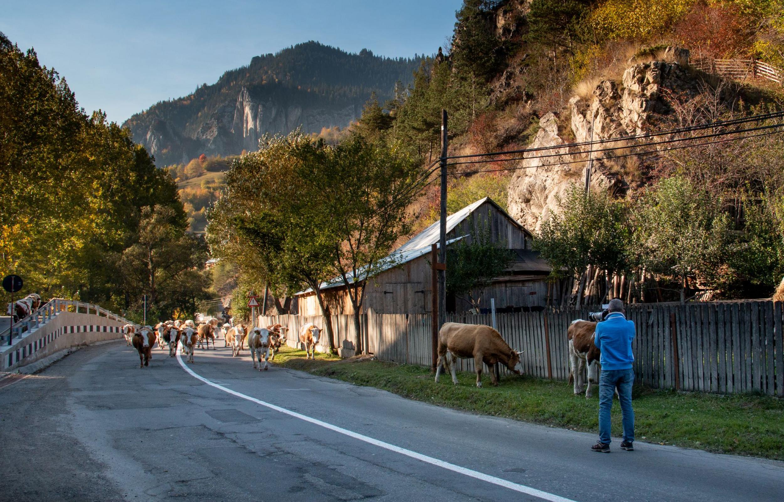 Tour Romania Exclusive