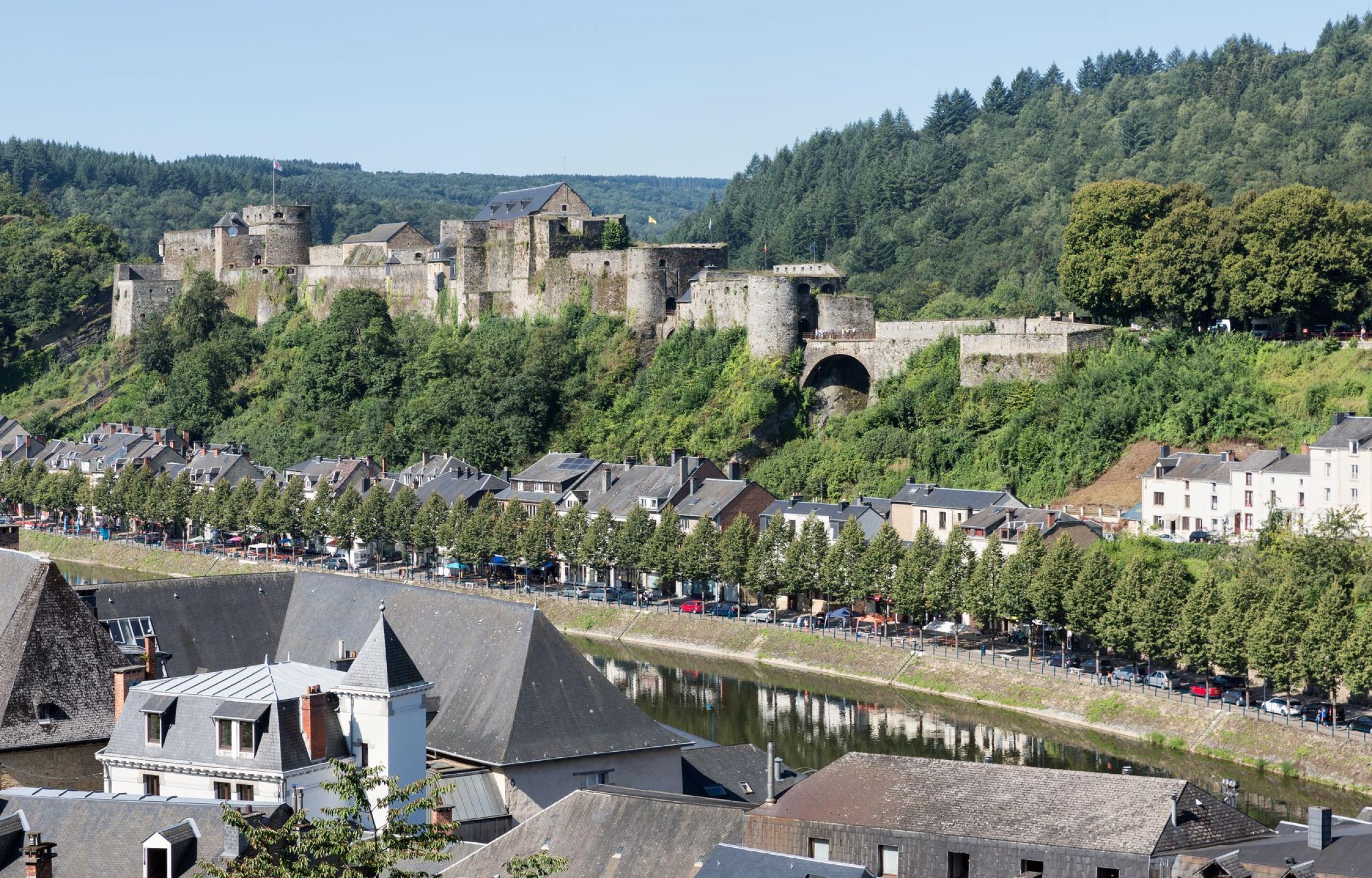 Gran Tour della Vallonia e Bruxelles 