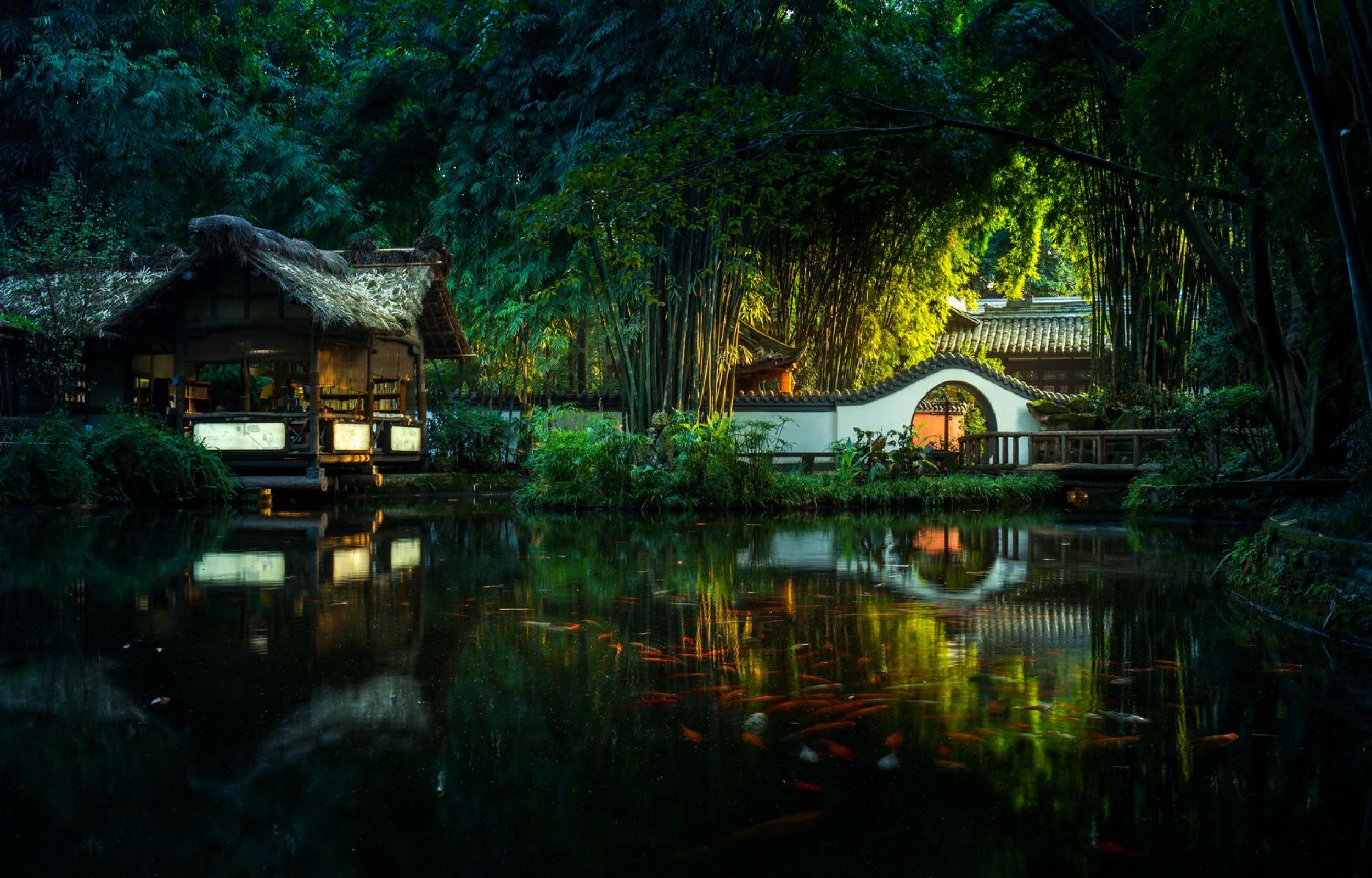 Panda Tour: Speciale Capodanno