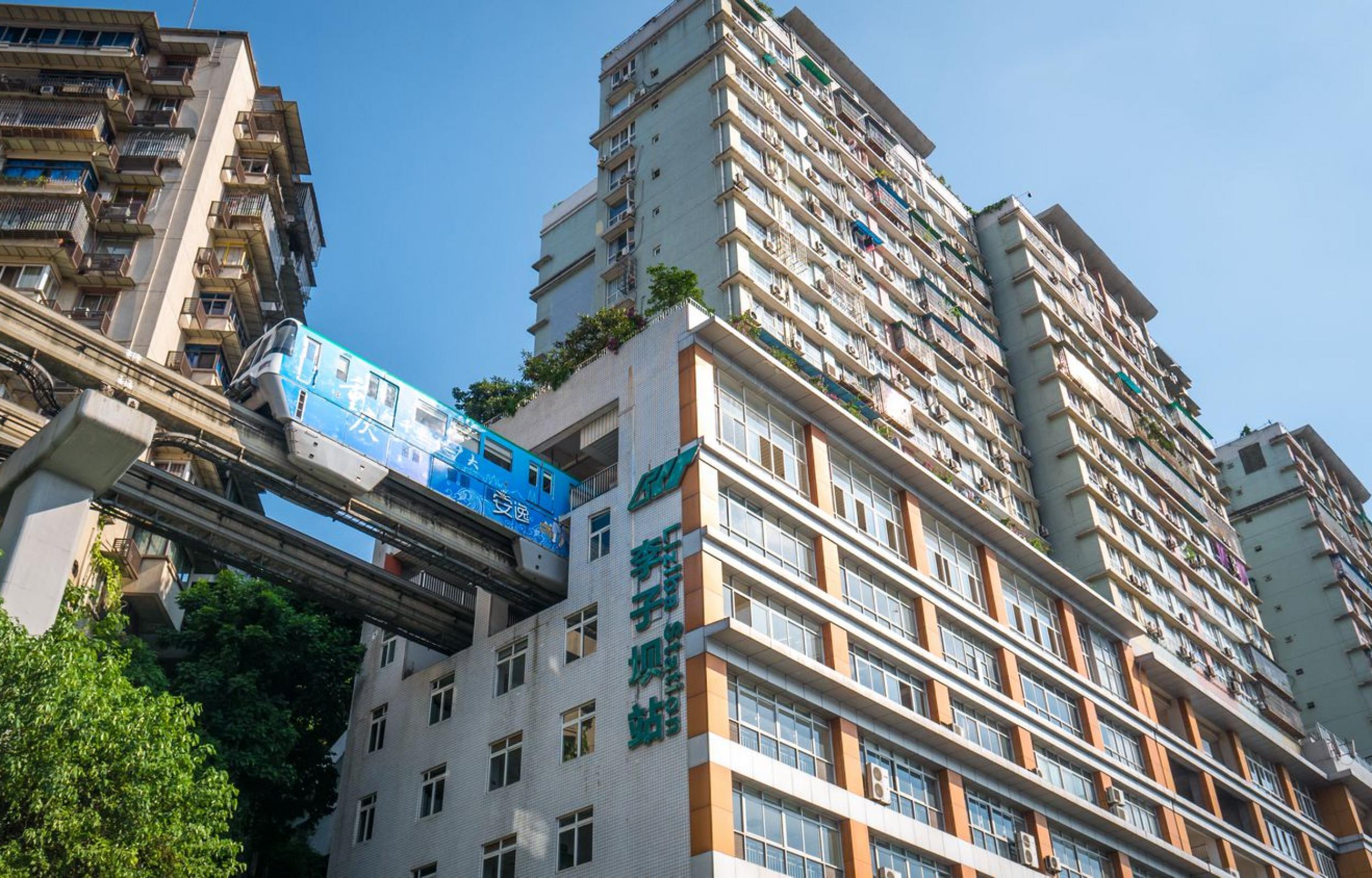 Panda Tour: Speciale Capodanno