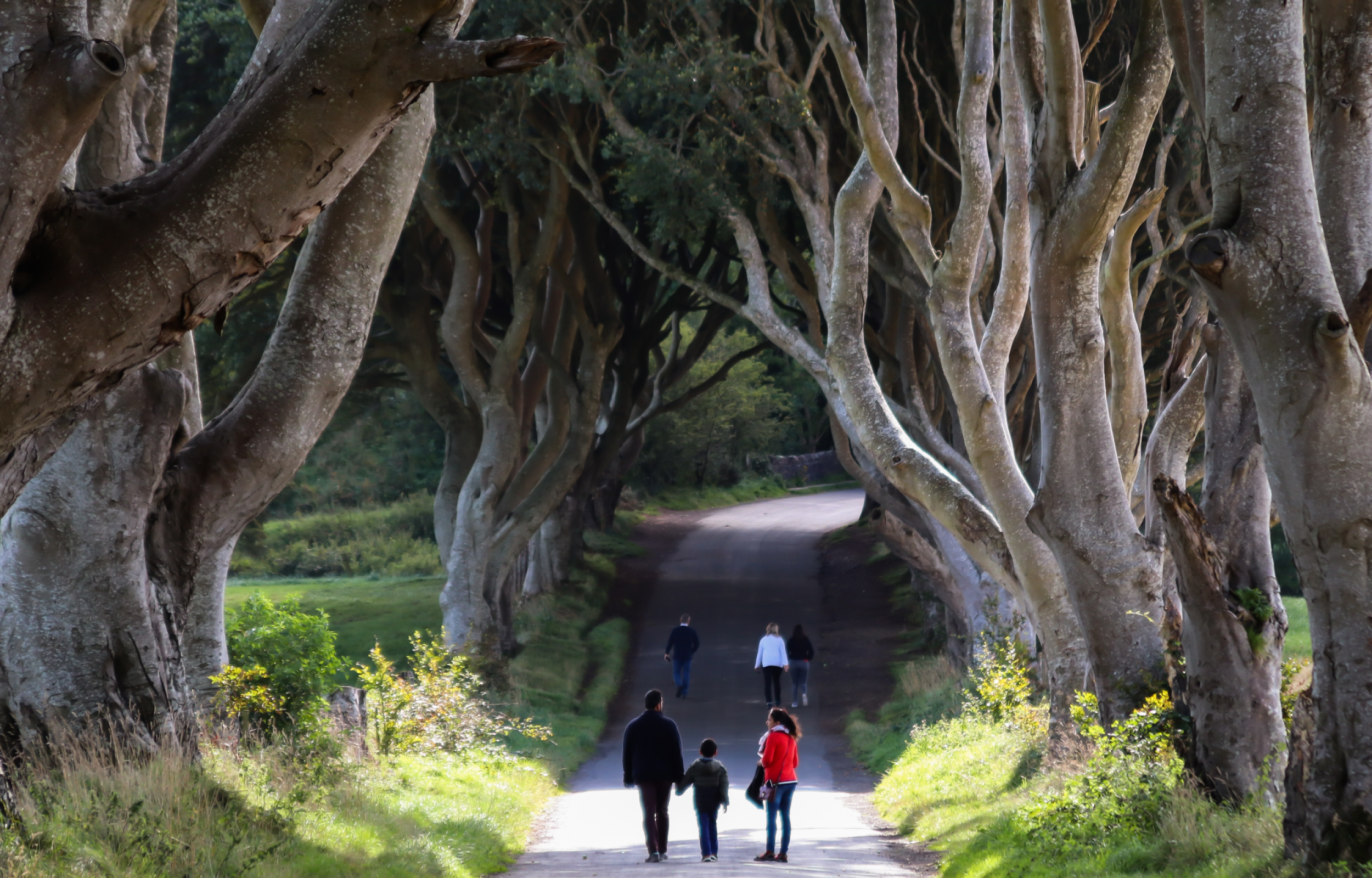 Gran Tour dell'Irlanda 