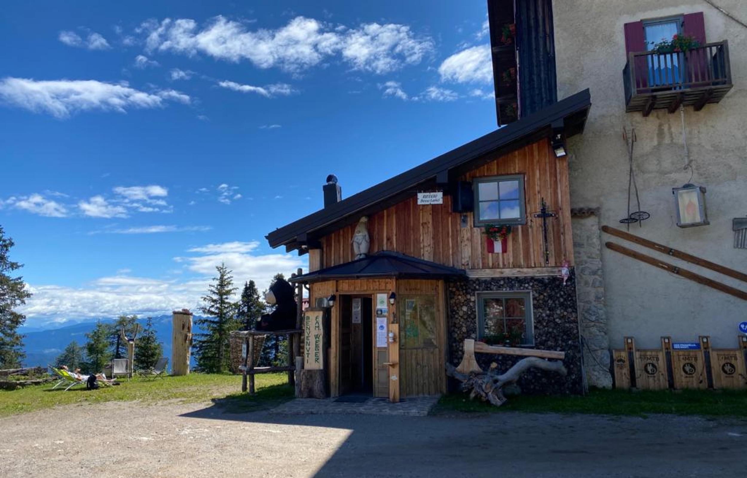 Paganella: Foliage e Forest Bathing