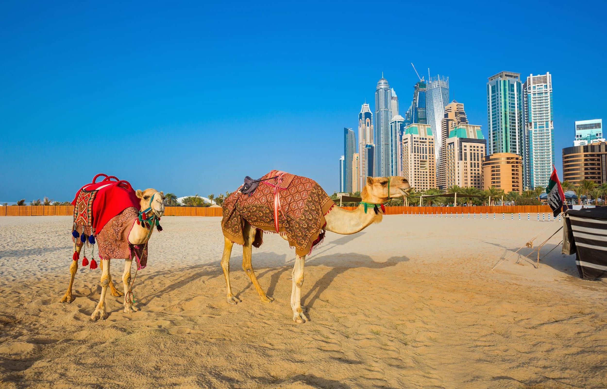 Capodanno a Dubai e Abu Dhabi