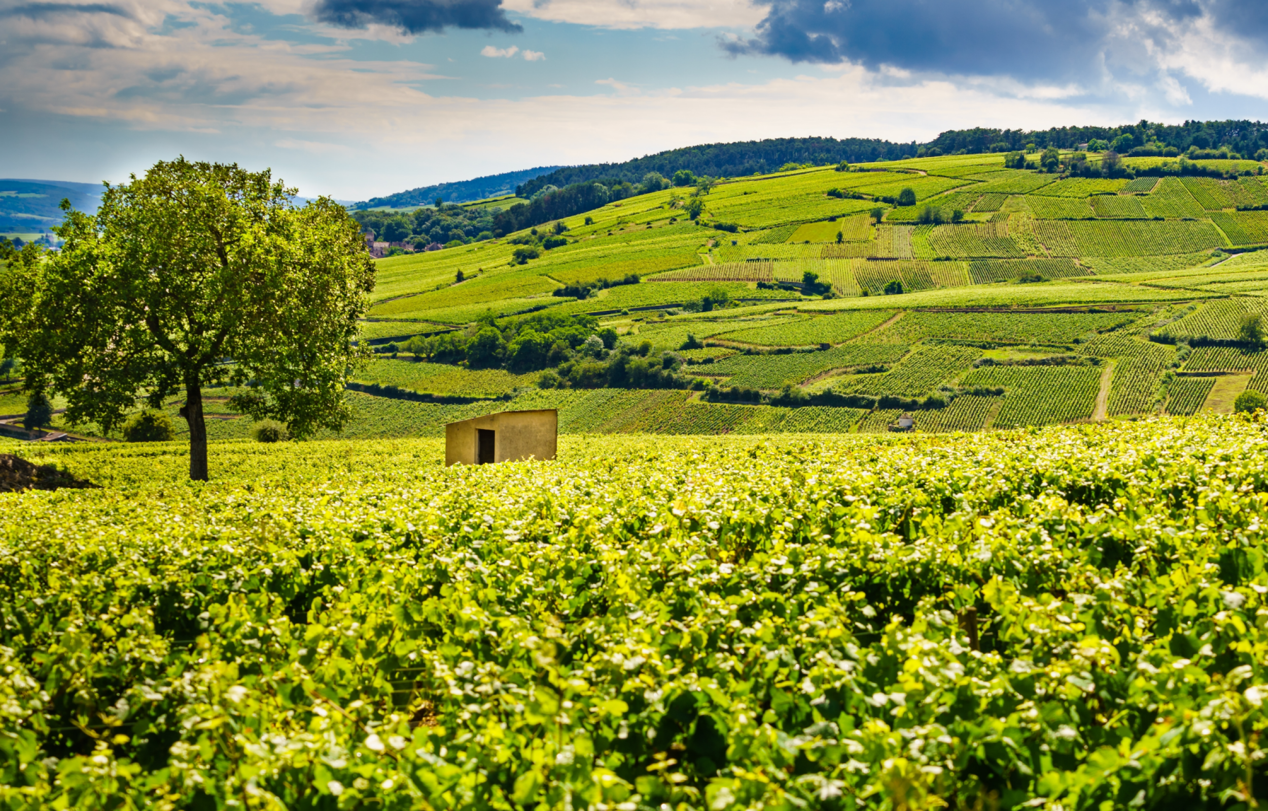 Parigi e i Castelli dell'Ile de France