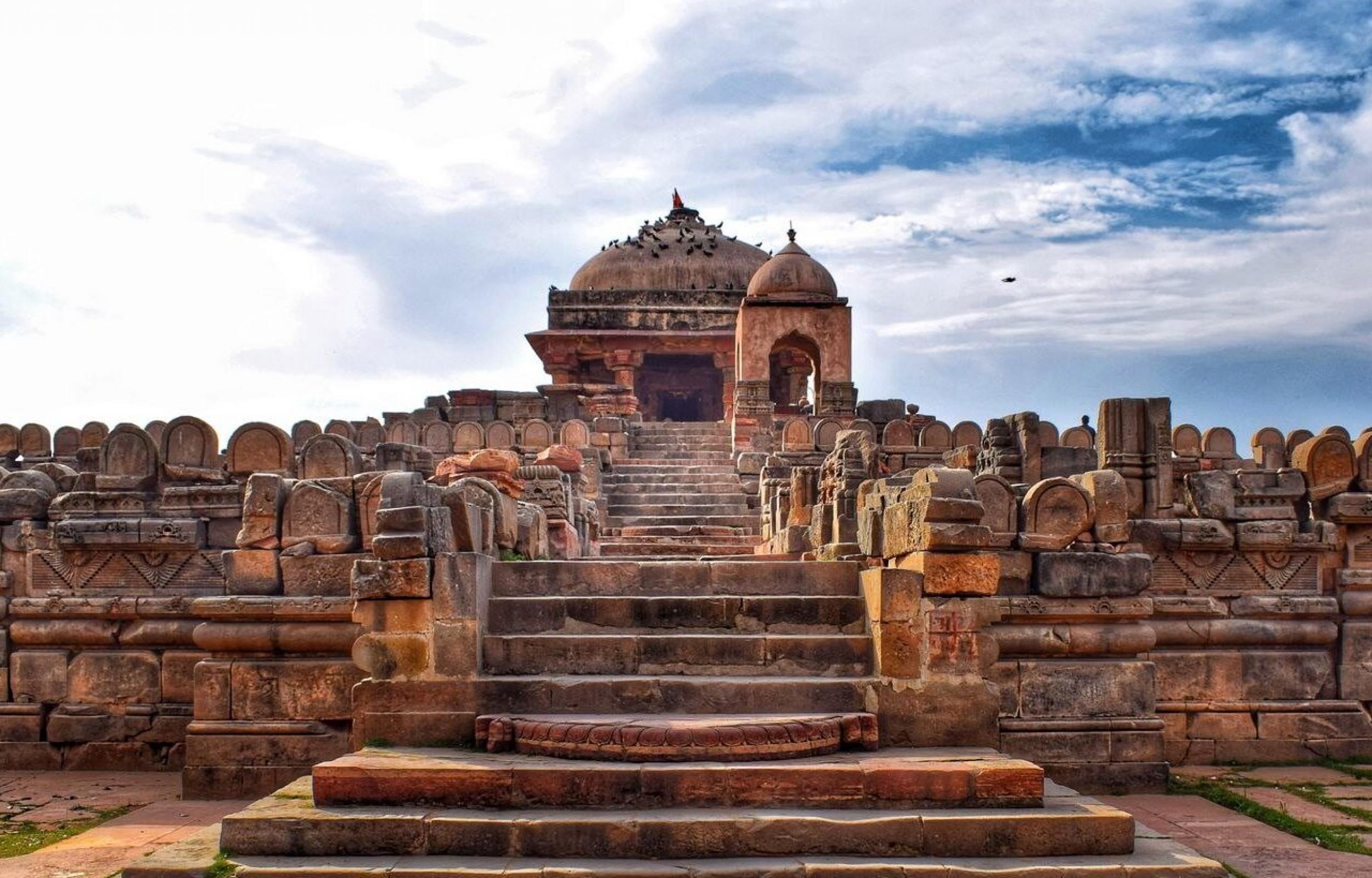 Rajasthan e la Terra delle Tigri