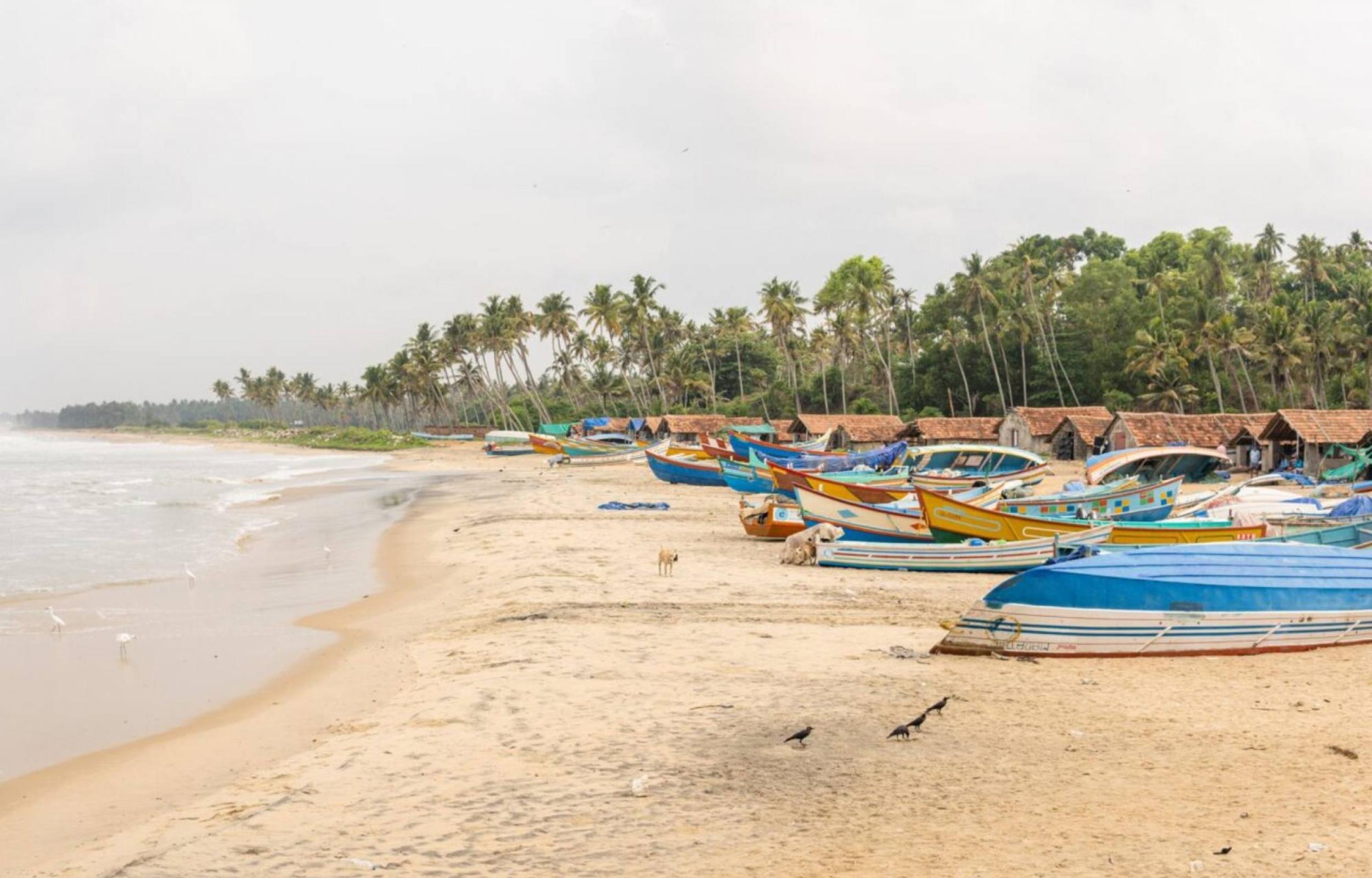 Essenza del Kerala 