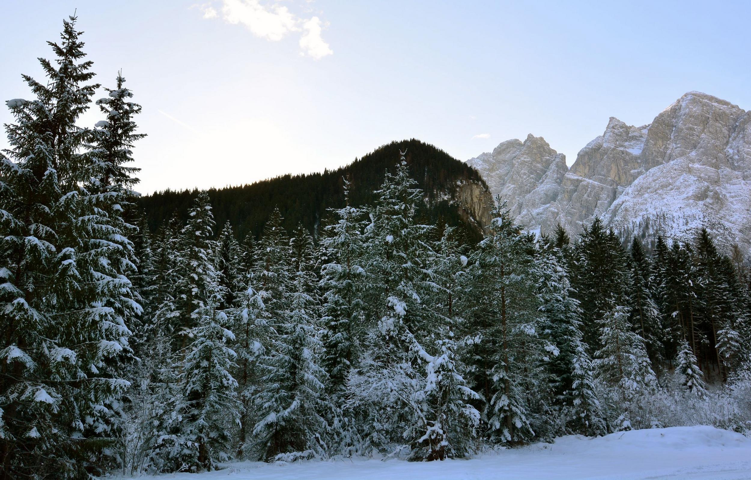 Magiche atmosfere Natalizie ai piedi delle Dolomiti 