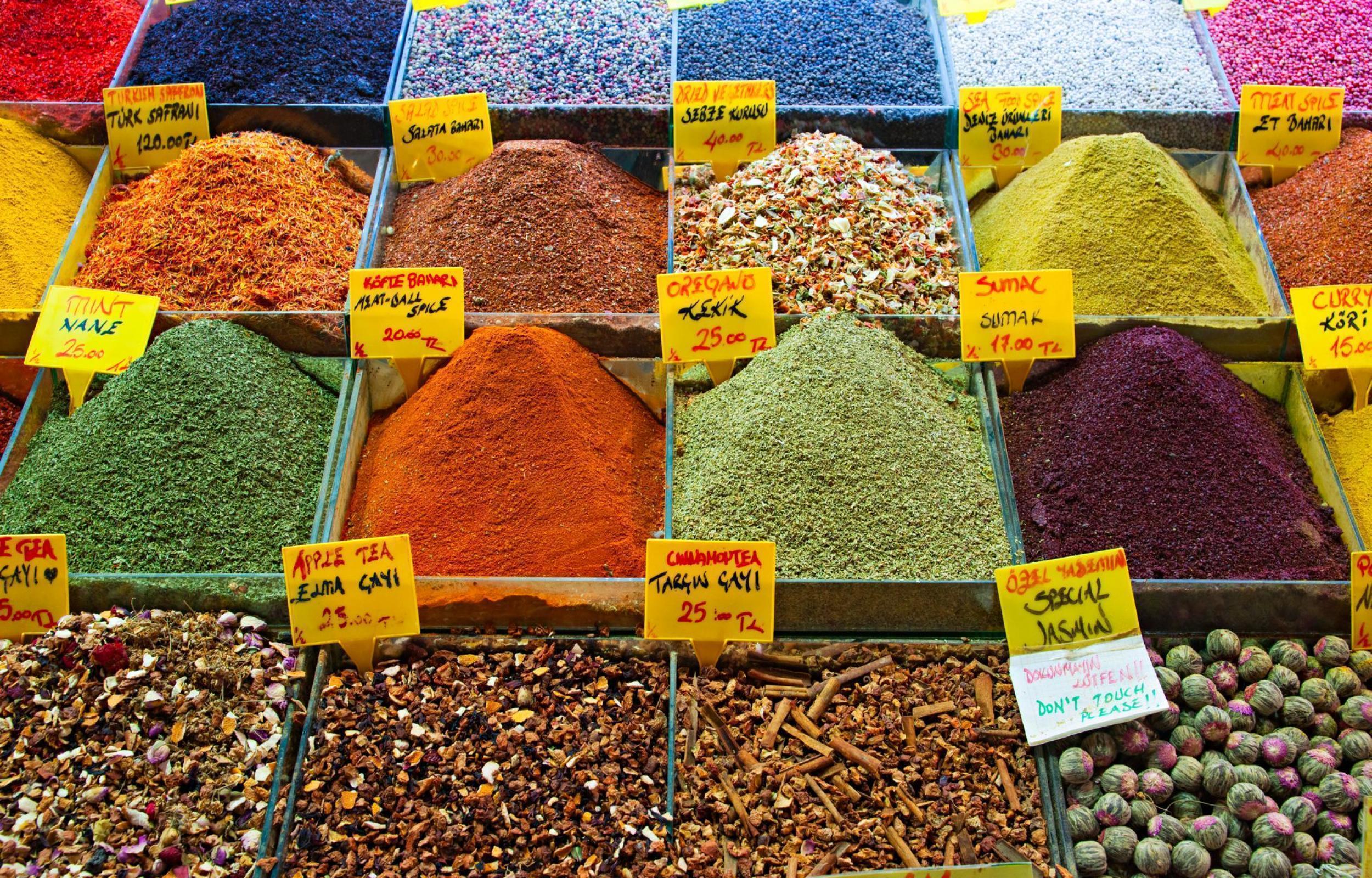 Tour Eleganza della Turchia