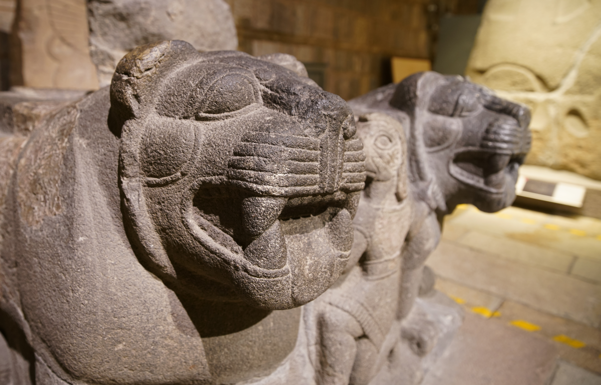 Gran tour della Turchia 