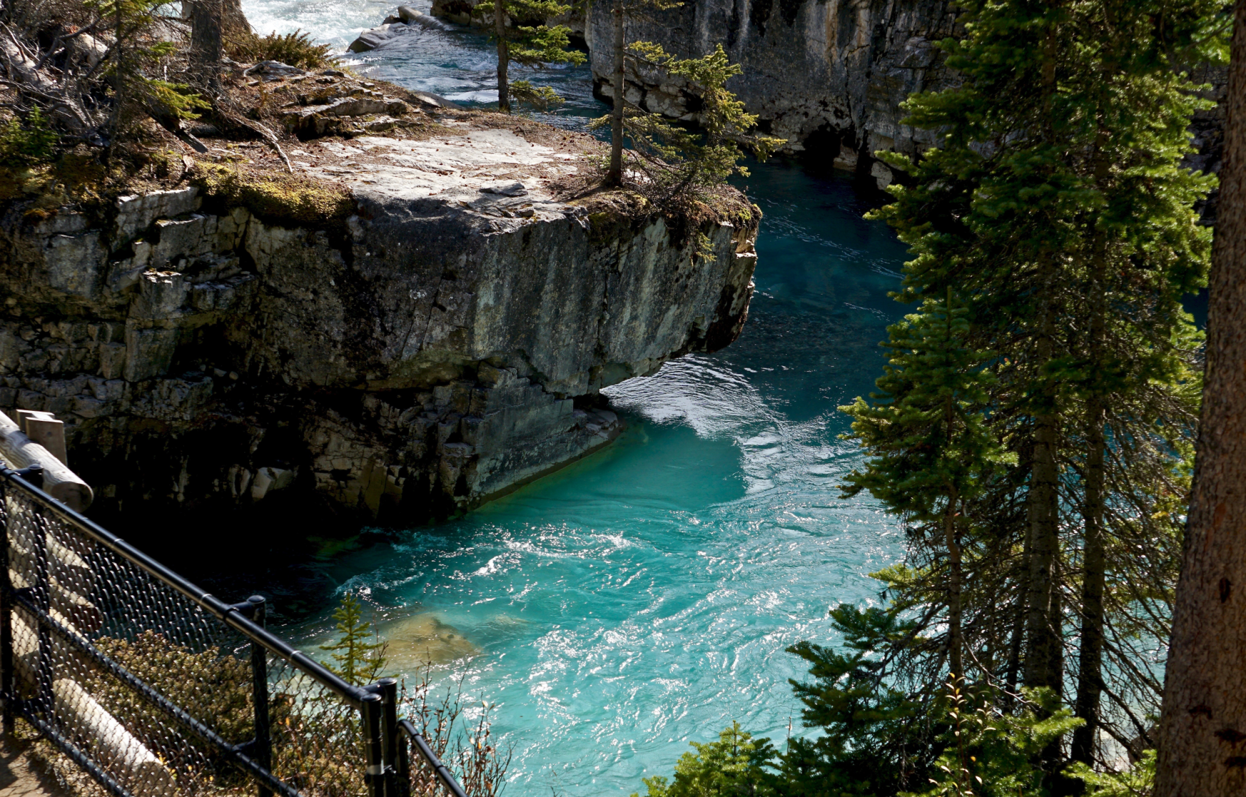 Canada dell'Ovest e i Grandi Parchi Nazionali 