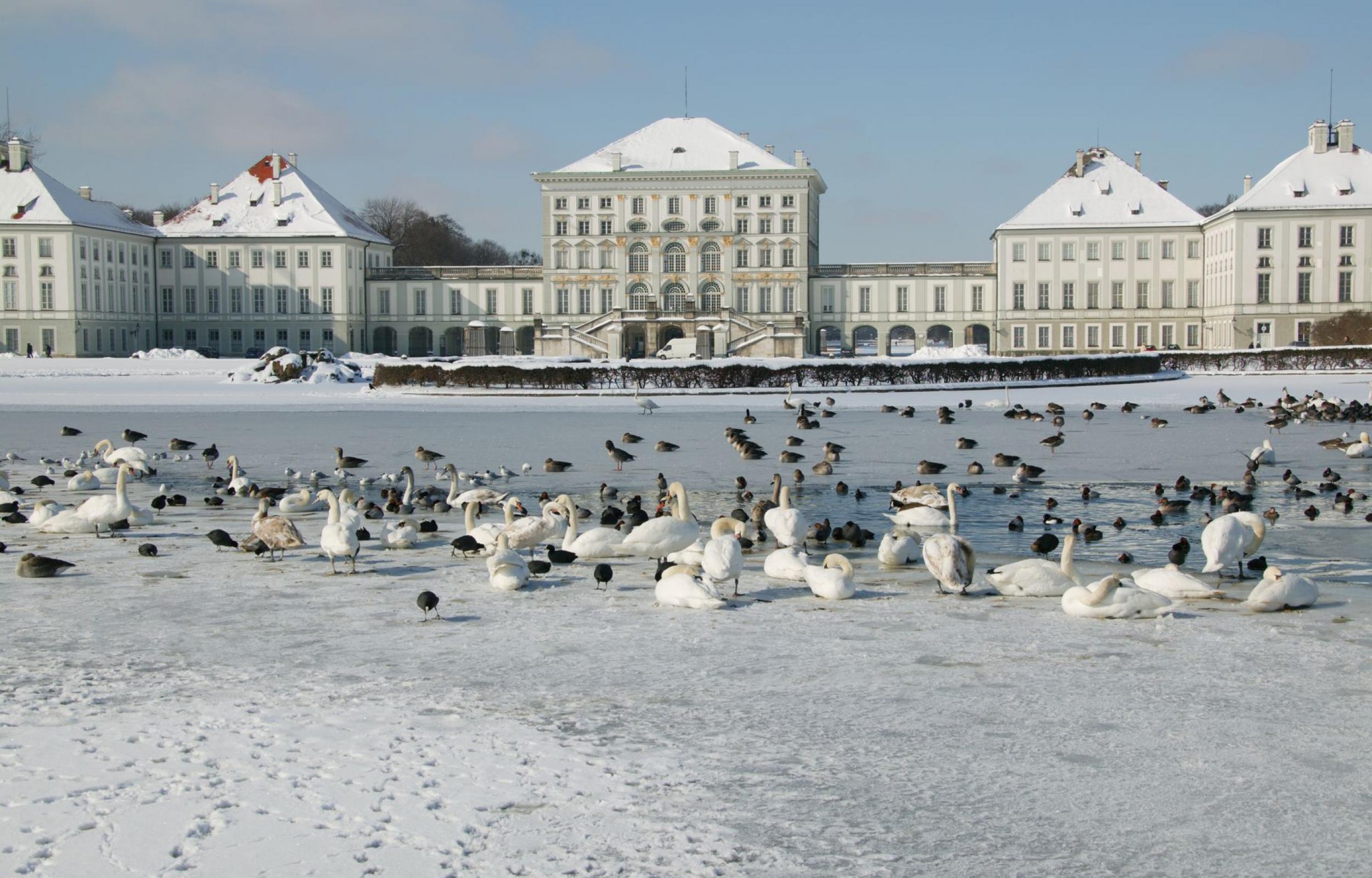 Mercatini di Natale a Monaco e Castelli di Baviera 