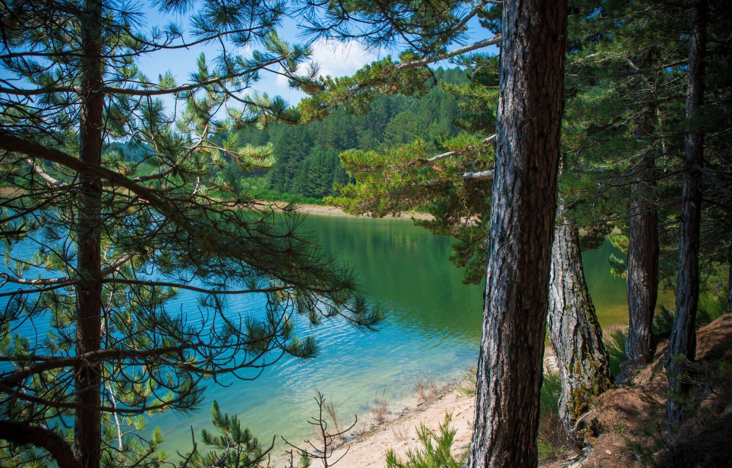 Tour della Calabria: La Magna Grecia e i Bronzi di Riace