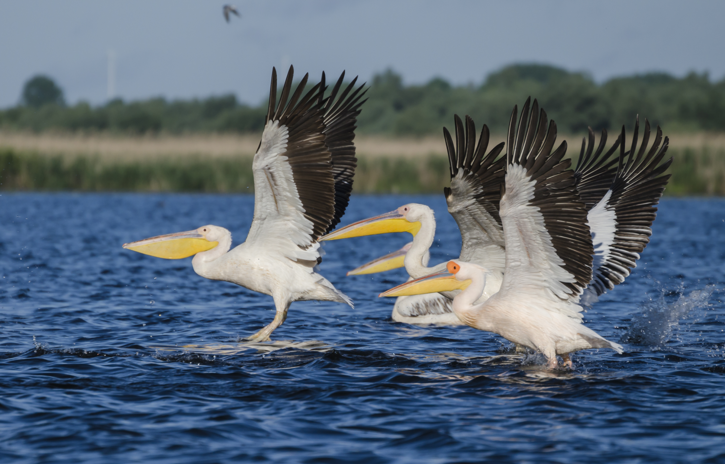 Gran Tour della Romania