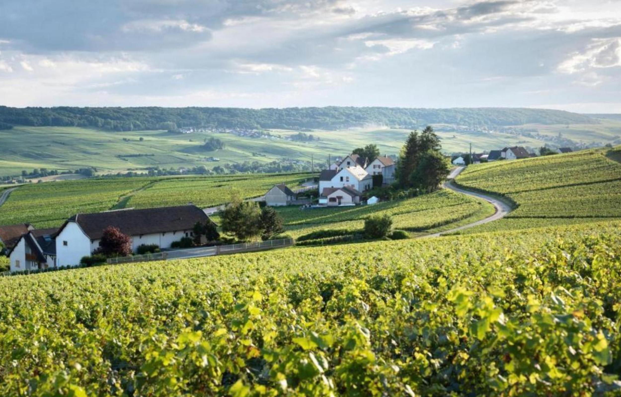 Good Morning Londra Good Morning Londra