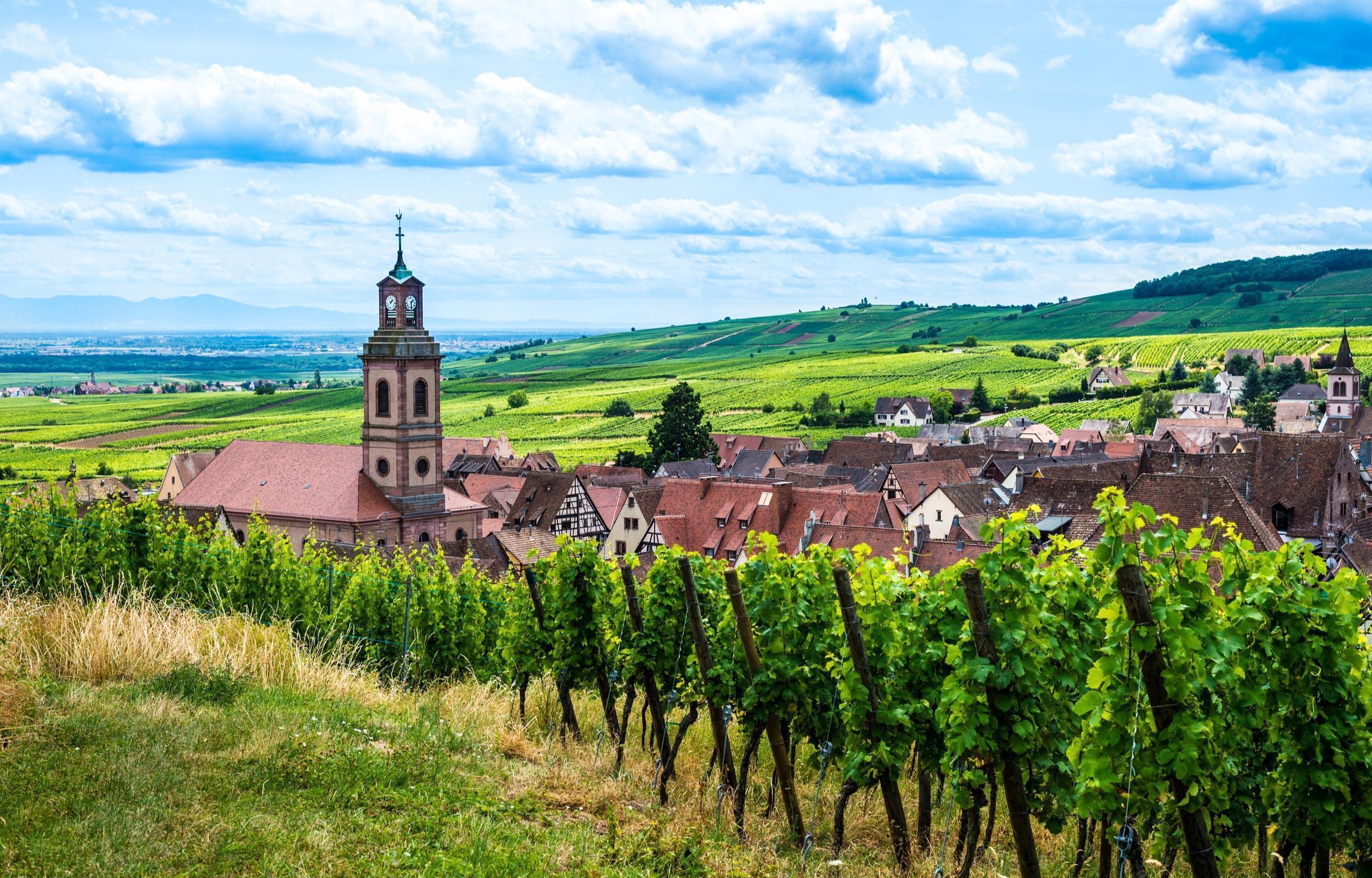 Gran Tour della Vallonia e Bruxelles 