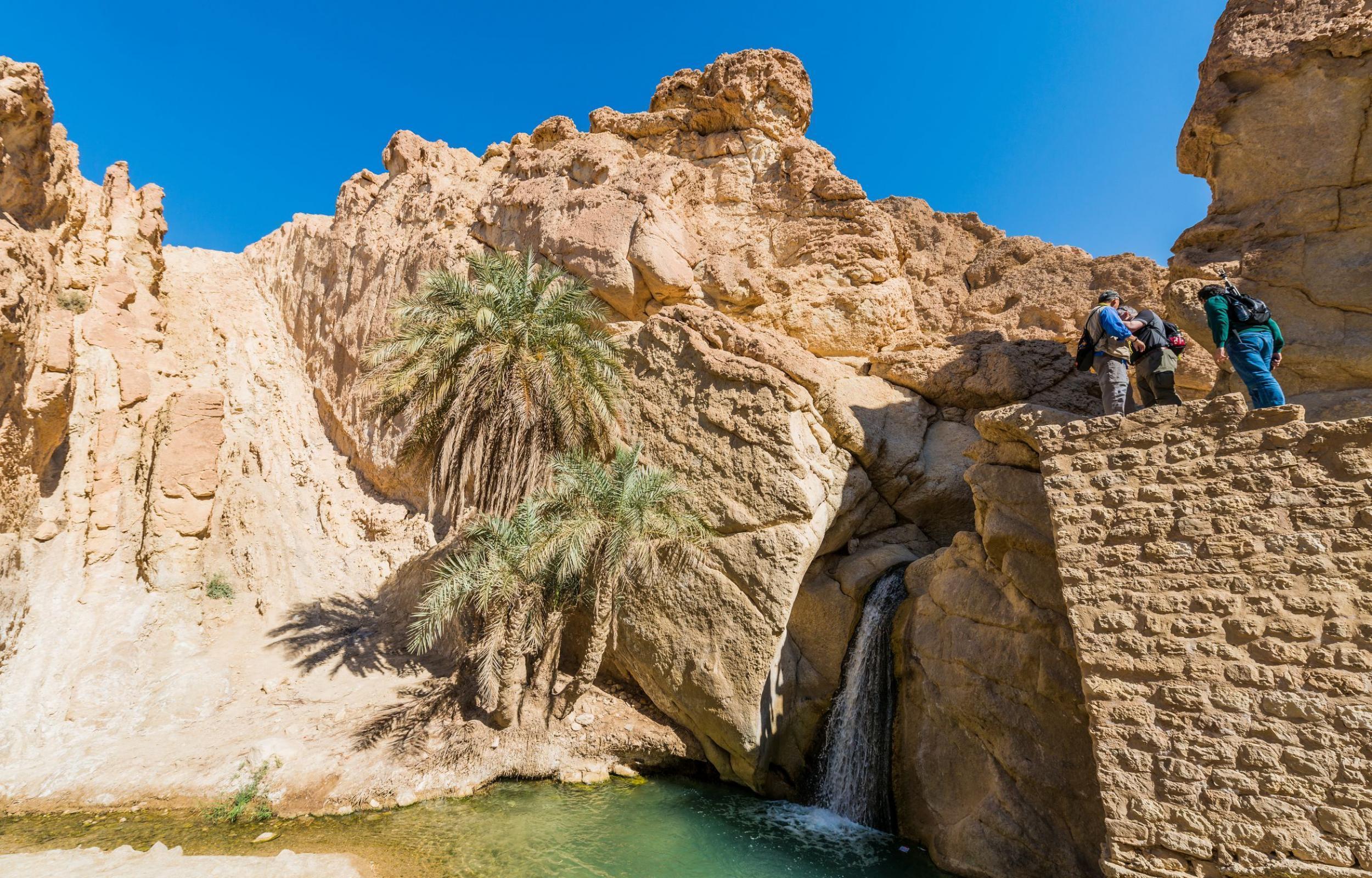 Tunisia Exclusive