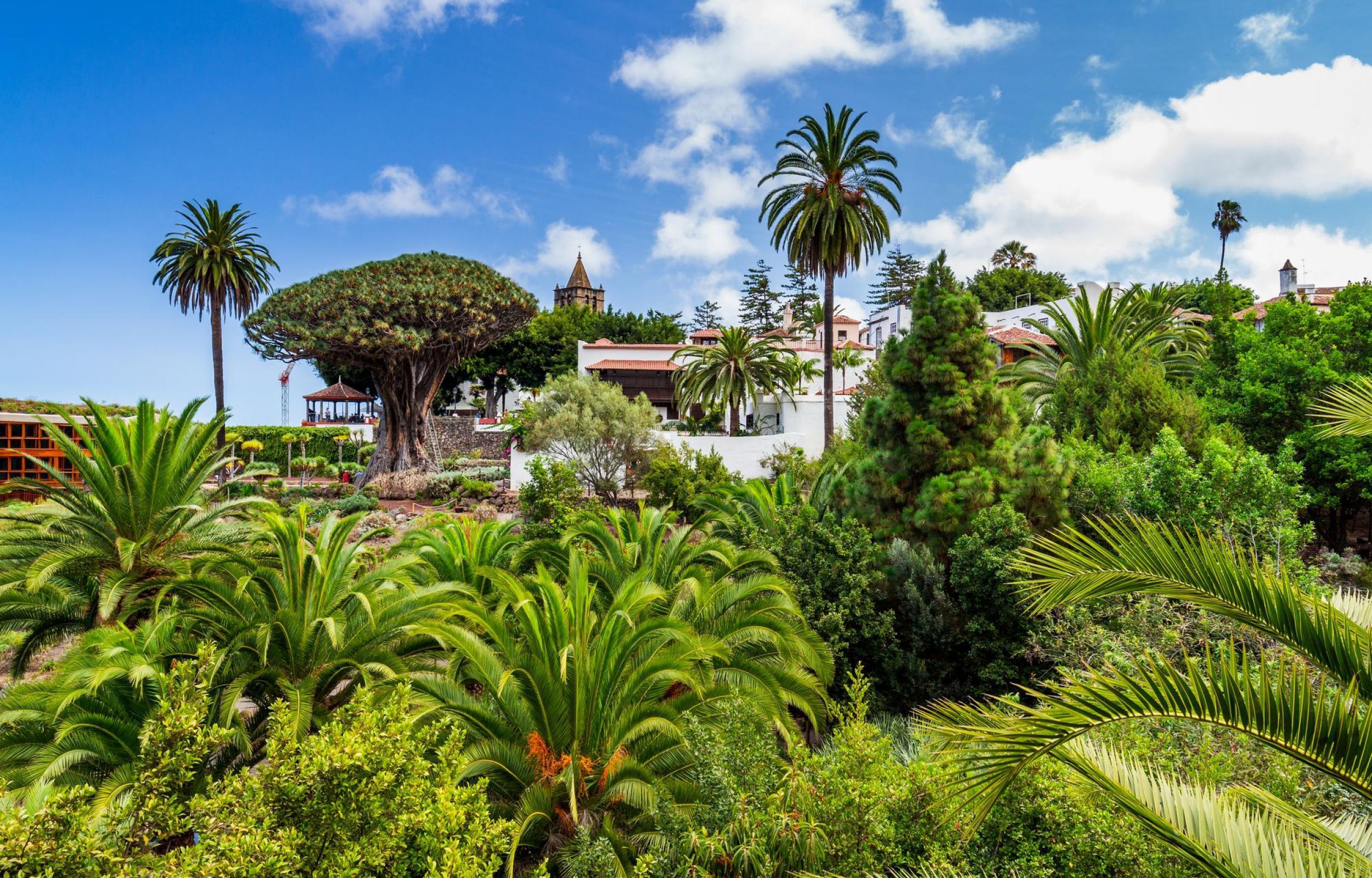 Tenerife, L'Isola dell'Eterna Primavera