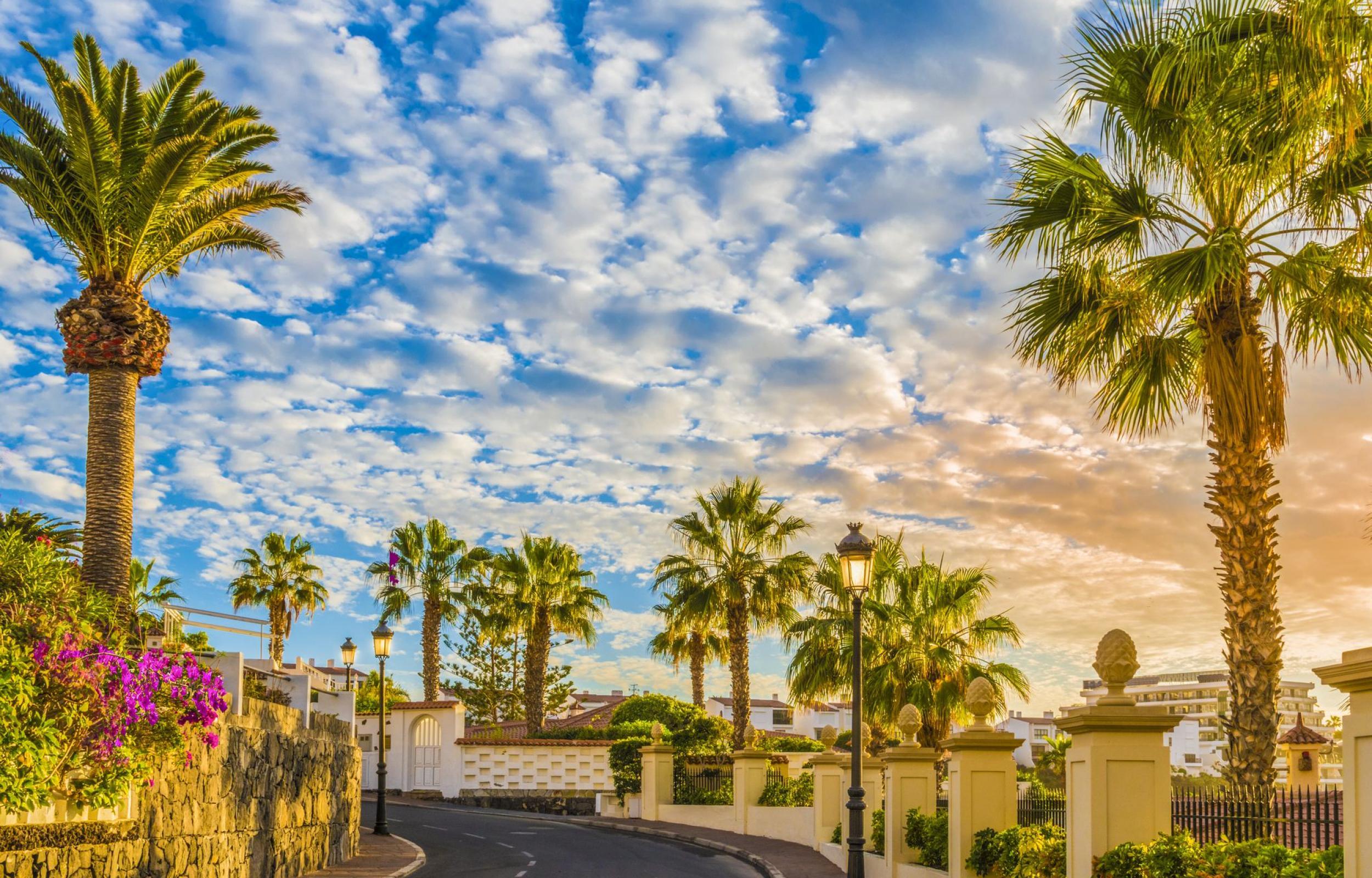 Tenerife, L'Isola dell'Eterna Primavera
