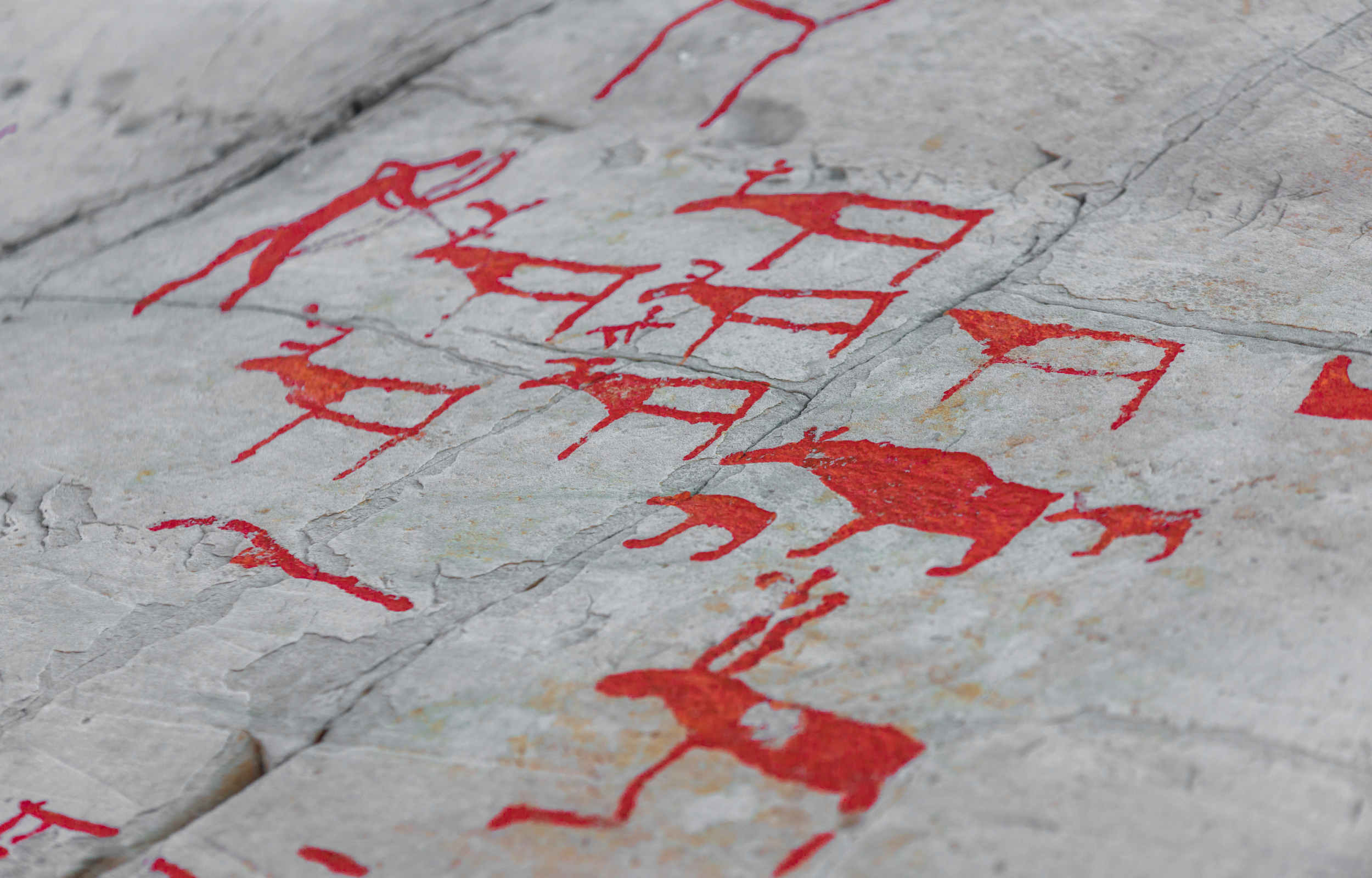 Isole Lofoten e Capo Nord 