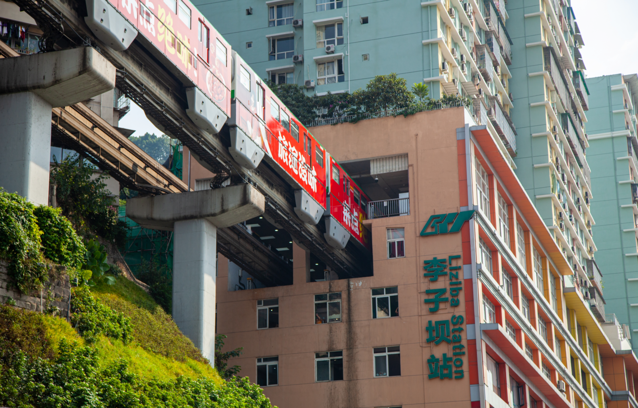 Panda Tour: i Tesori del Sichuan (da Chongqing) 