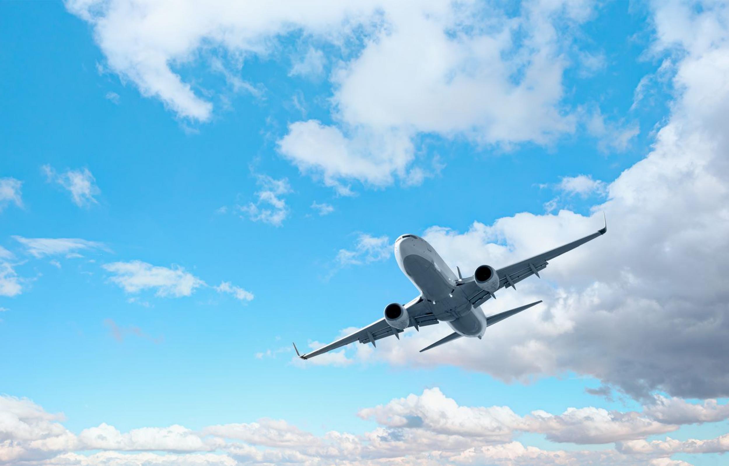 Panda Tour: Speciale Capodanno