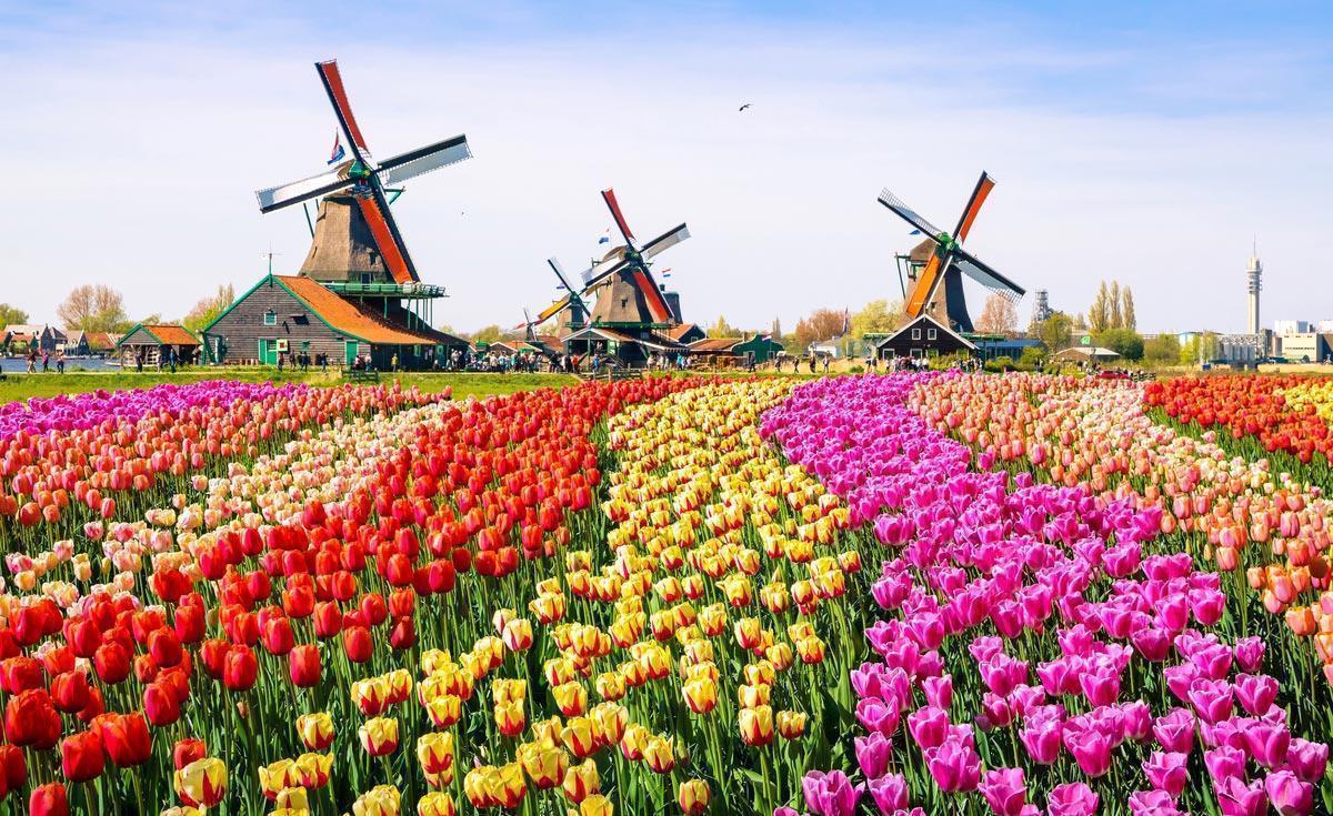 Amsterdam e l'Olanda 