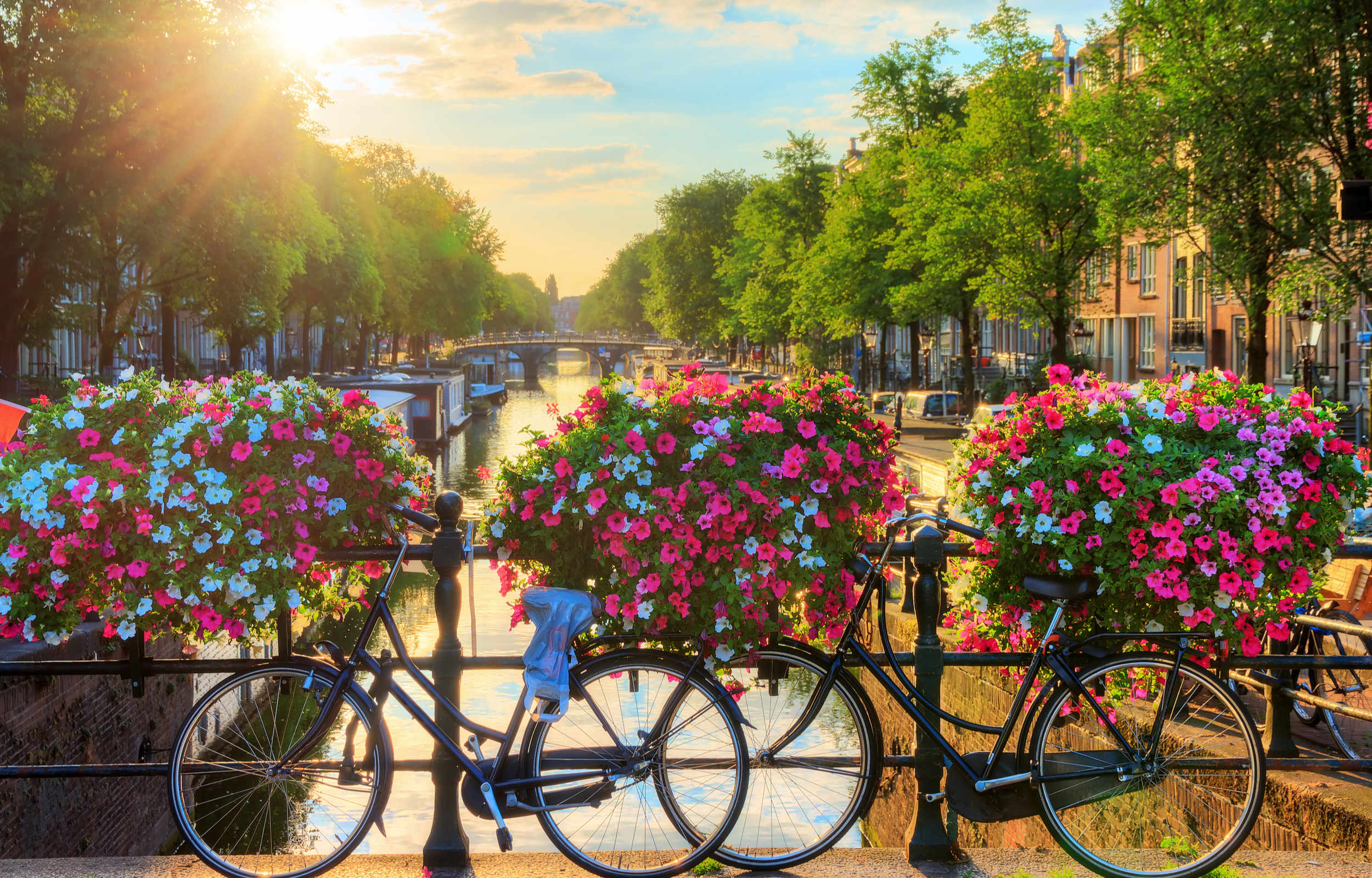 Amsterdam e l'Olanda - da Novembre a Marzo