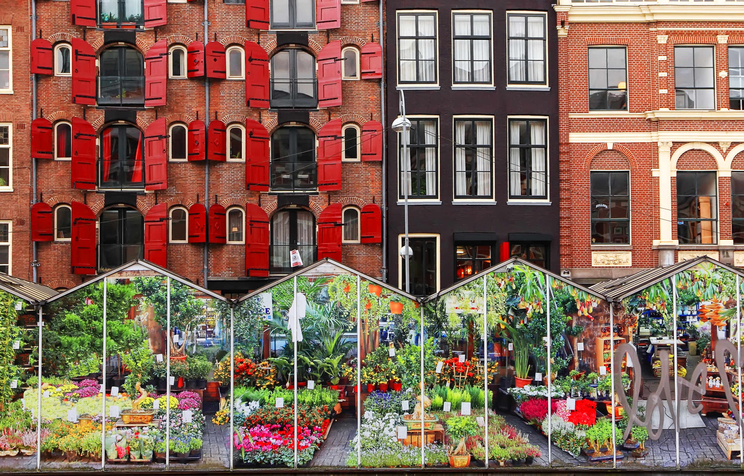 Amsterdam e l'Olanda - da Novembre a Marzo