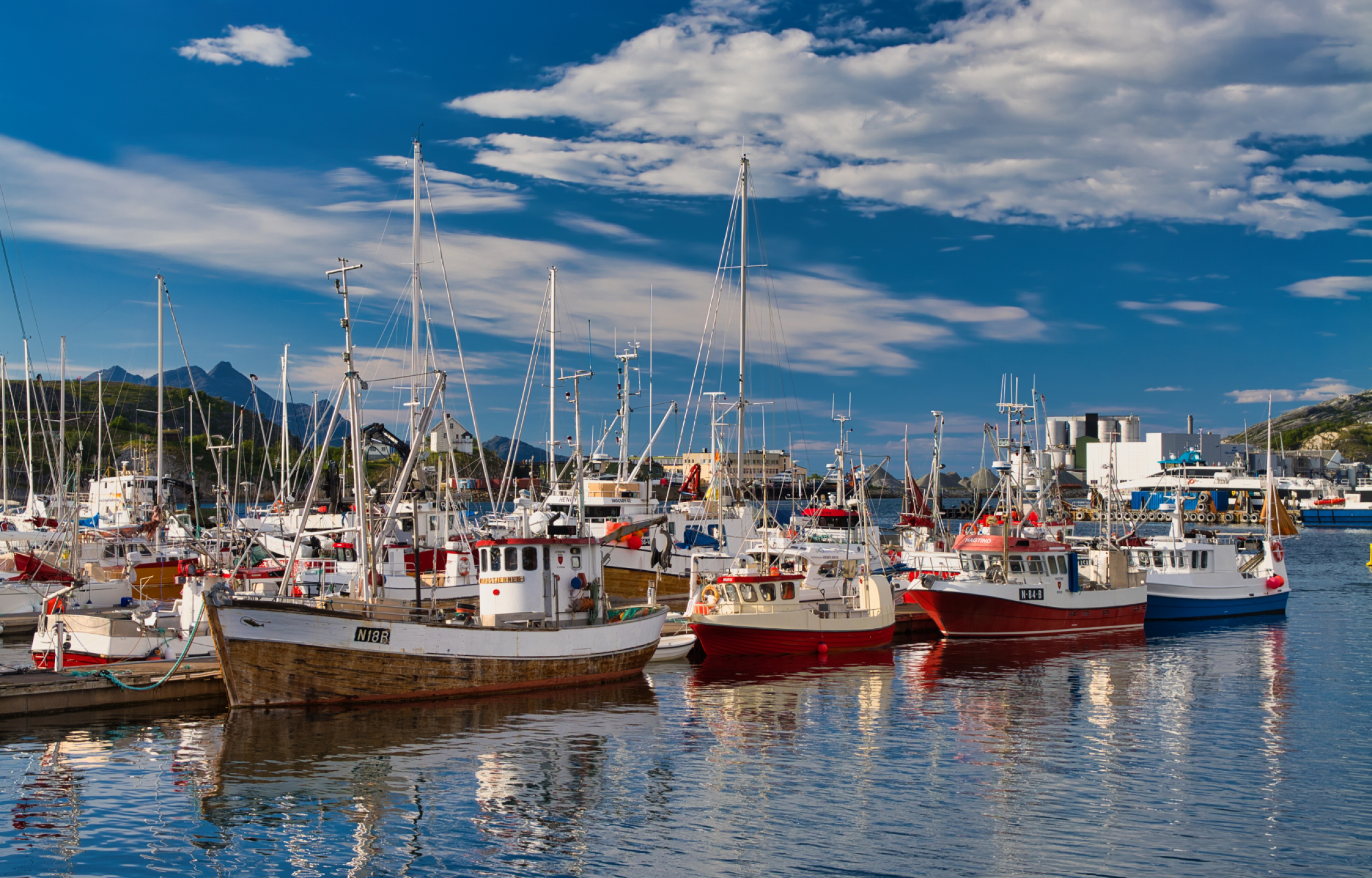 Isole Lofoten e Capo Nord 