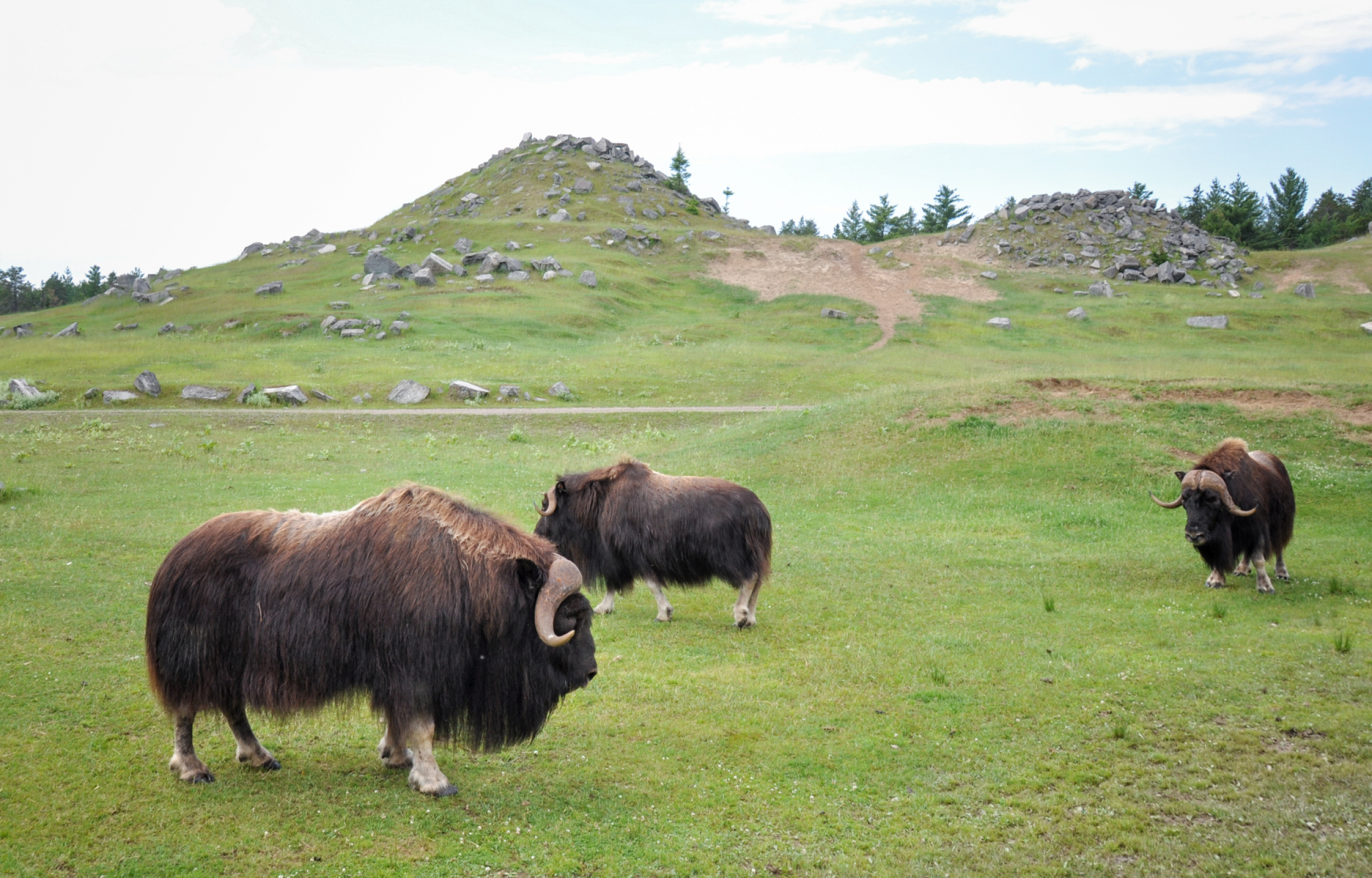 Natura e meraviglie del Canada con Accompagnatore dall'Italia