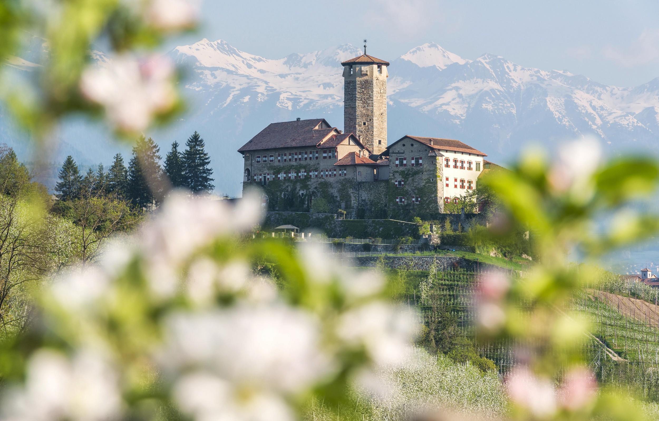 Assaporando in Trentino: cucina, natura, cultura e benessere