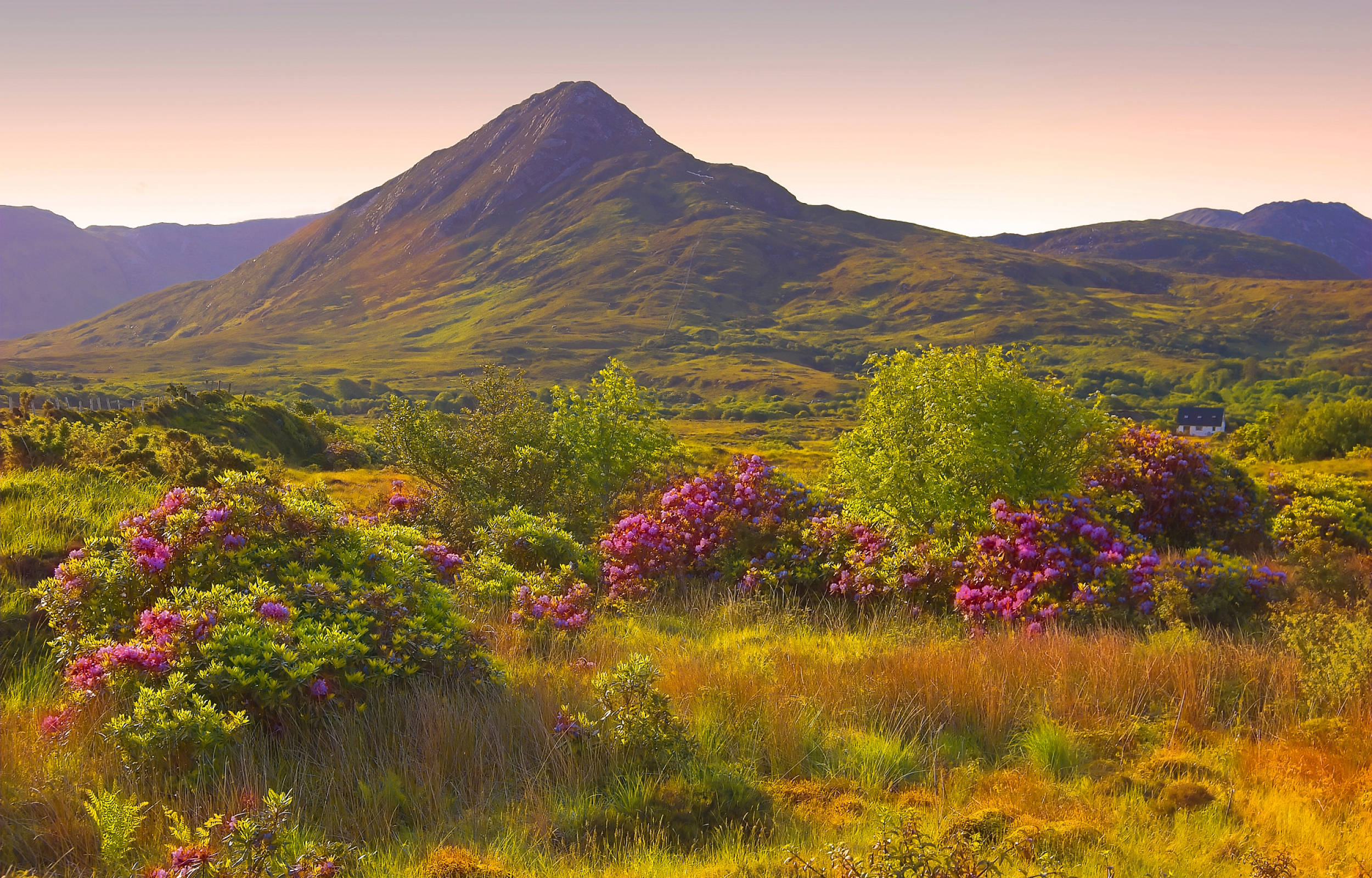 Tour Irlanda Exclusive