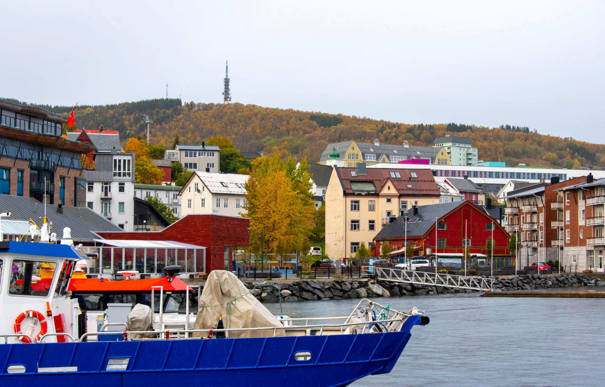 Lofoten - Luci D'Aurora