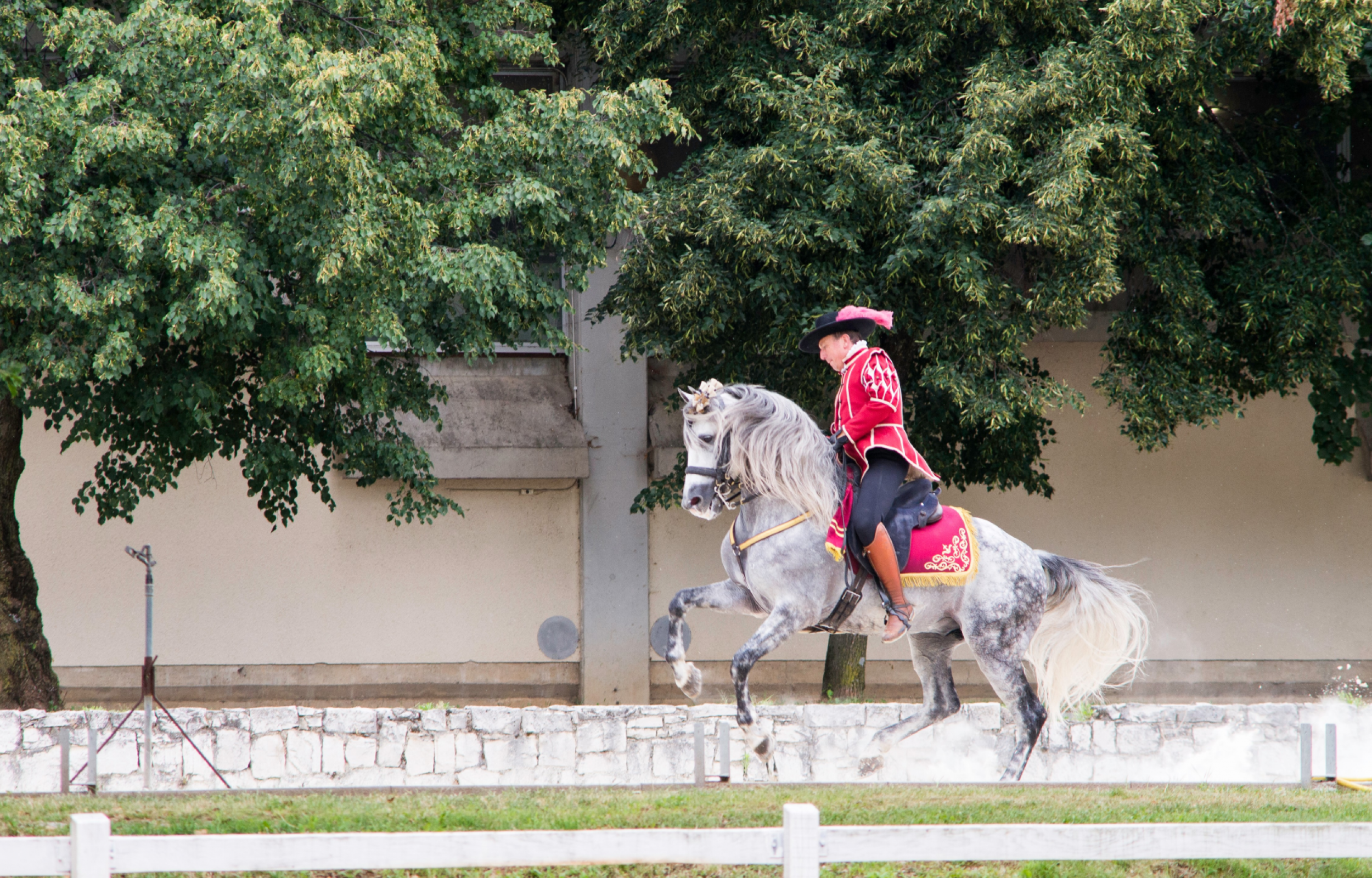 Capodanno a Portorose