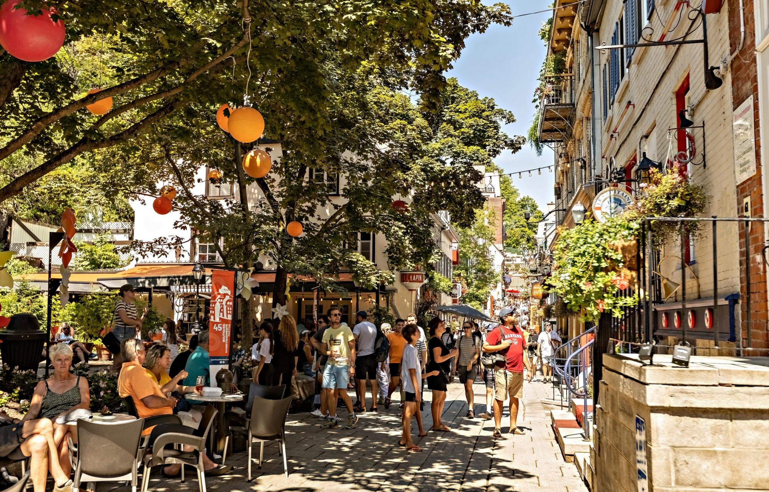 Taste of Canada Taste of Canada