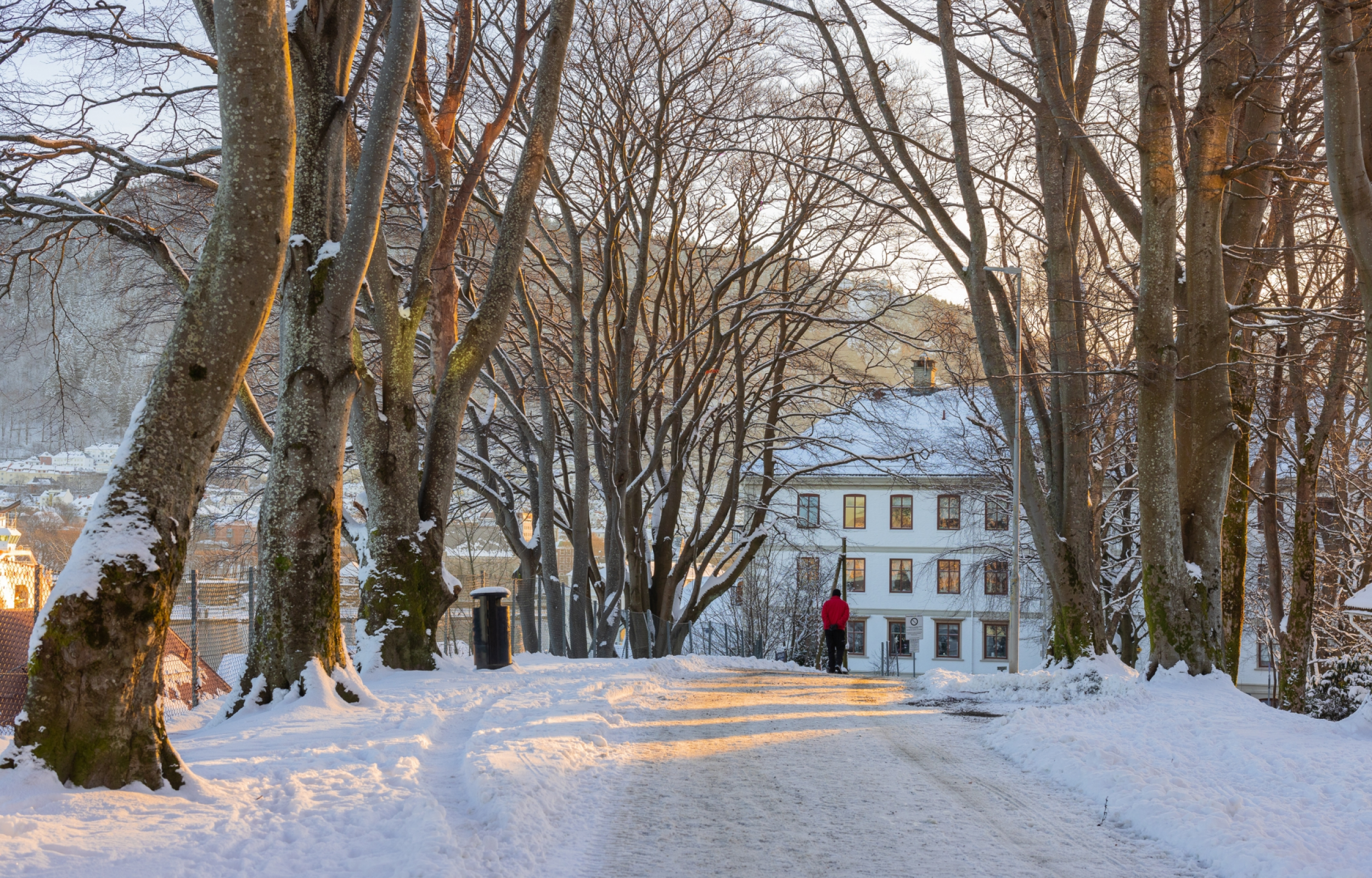 Fiordi d'Inverno: Oslo - Flam e Bergen