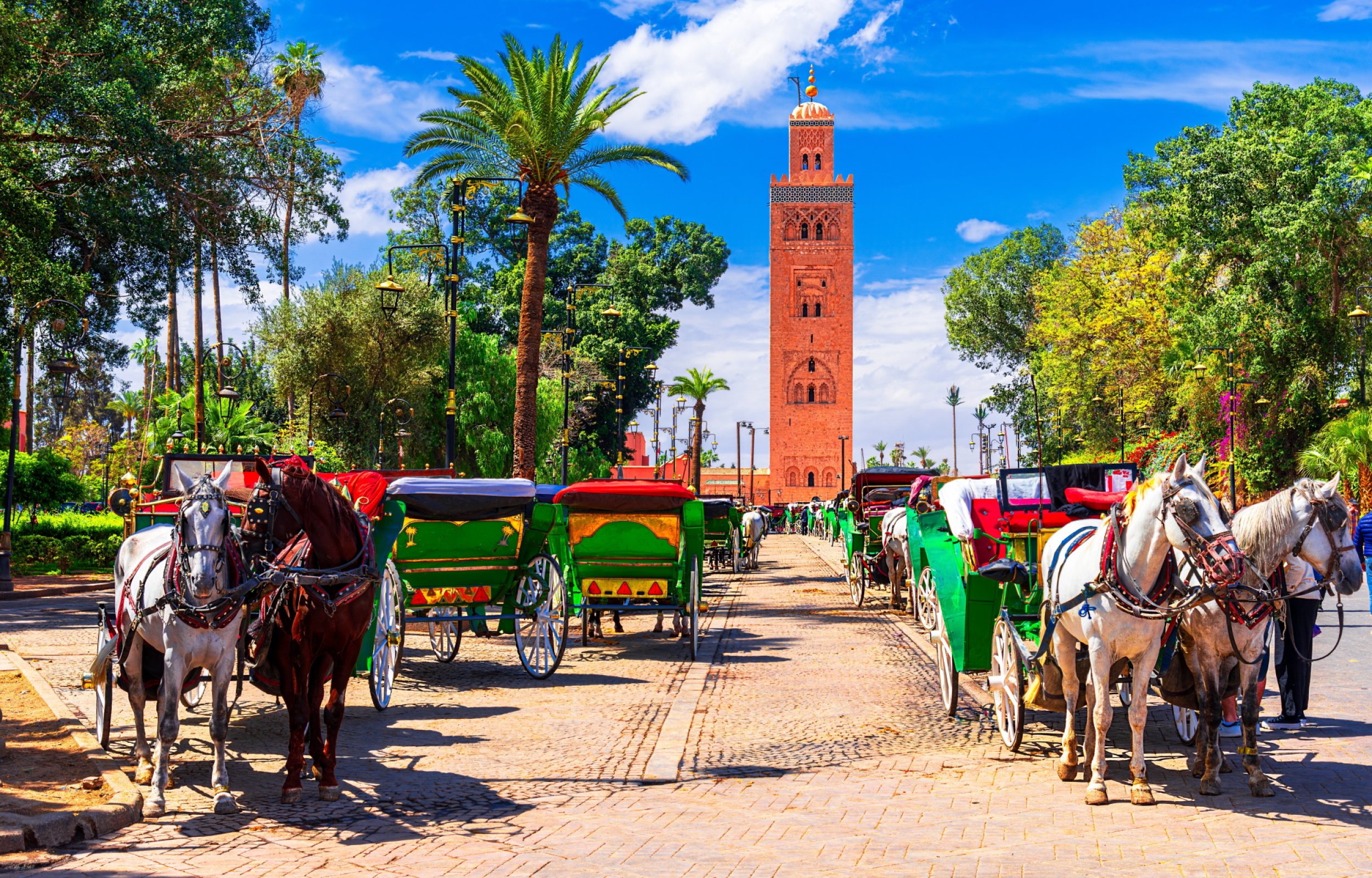 Marocco: Città Imperiali e Essaouira da Marrakech