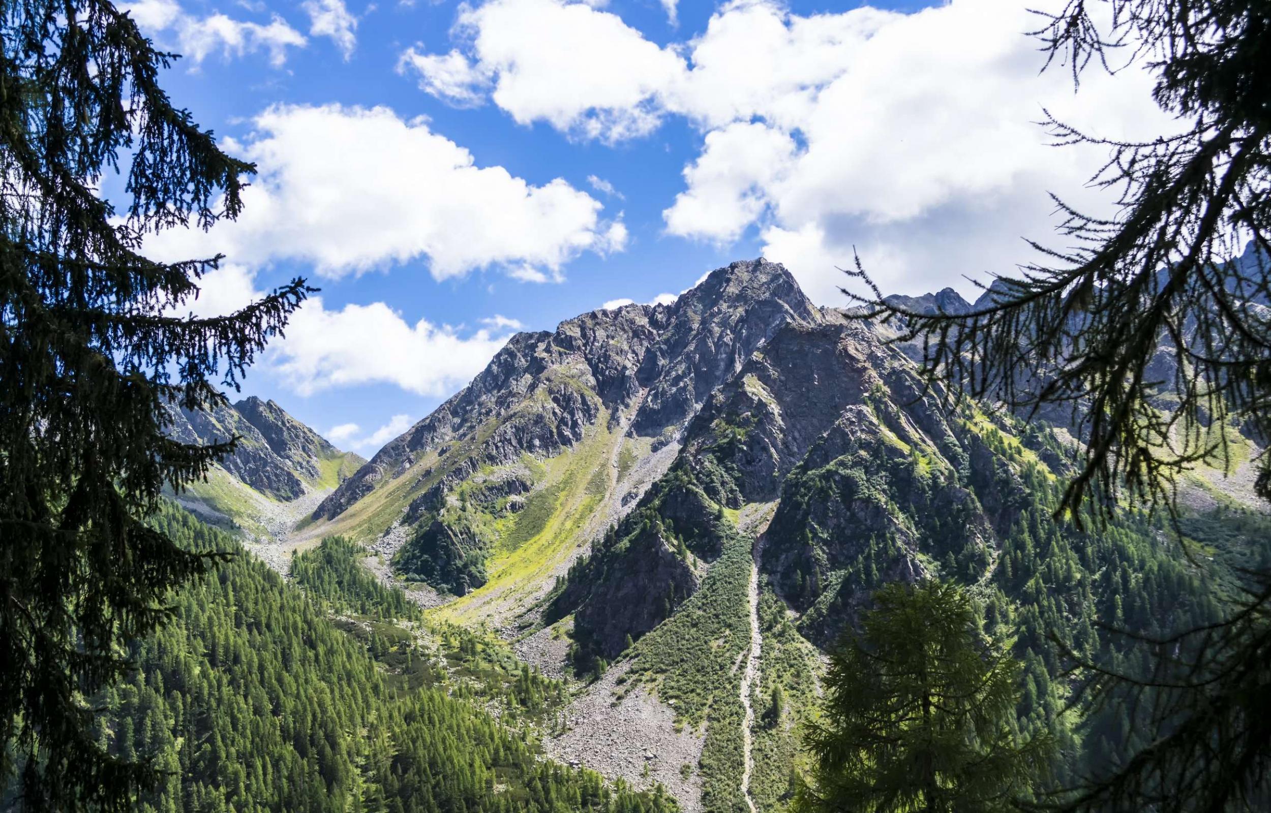Esperienze Vere in Trentino